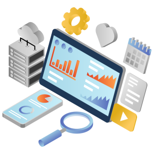 Management Information System Report